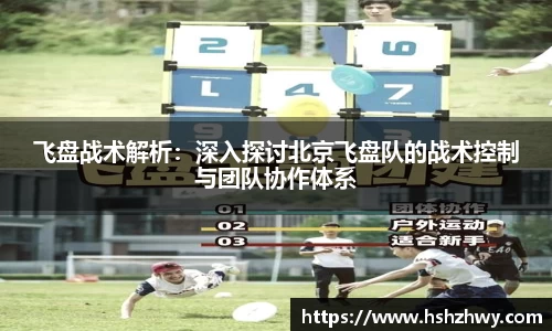 飞盘战术解析：深入探讨北京飞盘队的战术控制与团队协作体系